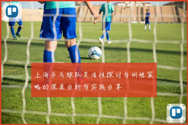上海乒乓球队灵活性探讨与训练策略的深度分析与实践分享