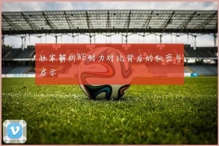 独家解析WE耐力对比背后的秘密与启示